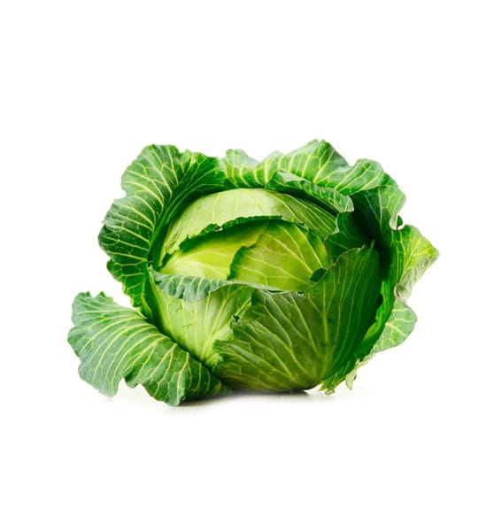 Cabbage