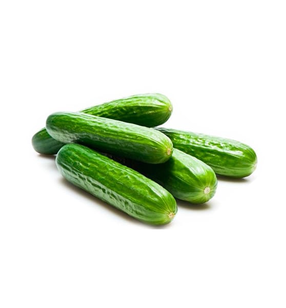 Cucumber